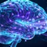 AI Token Wars: How OpenAI Captured Consumer Market While Google Dominates Overall Processing - Professional coverage
