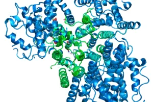 Circle Pharma Announces Upcoming Poster Presentation Highlighting the Anti-tumor Potential of Cyclin - Professional coverage