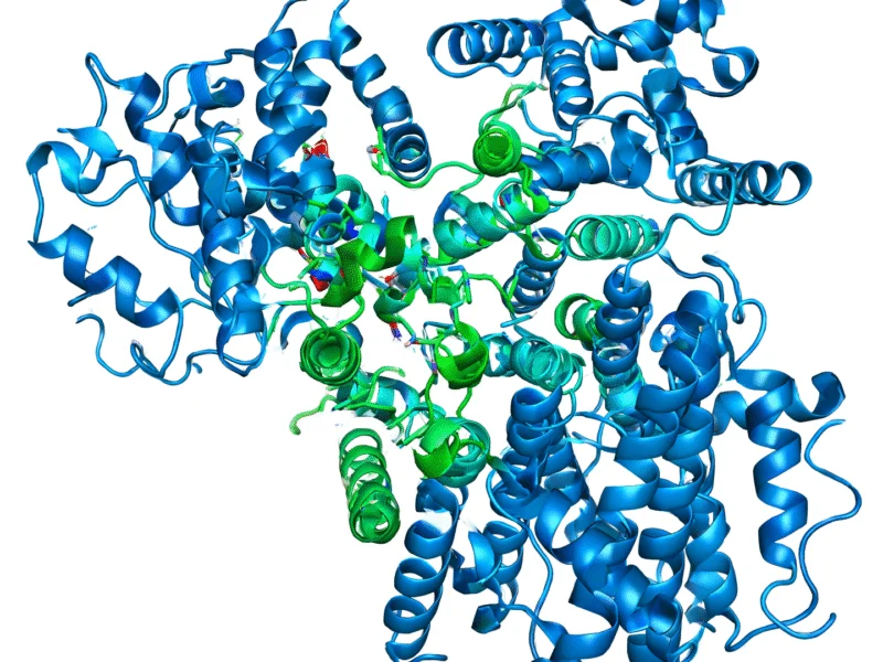 Circle Pharma Announces Upcoming Poster Presentation Highlighting the Anti-tumor Potential of Cyclin D1 RxL Inhibition at the AACR-NCI-EORTC International Conference on Molecular Targets and Cancer Therapeutics