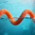 Polymers Spontaneously Develop Chirality in Breakthrough Discovery, Opening Path to Bio-Inspired Electronics