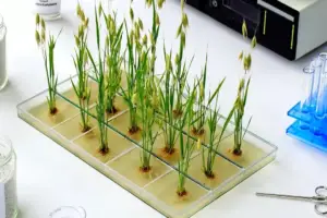 This AI Finds Simple Rules in Nature's Most Chaotic Systems - Professional coverage