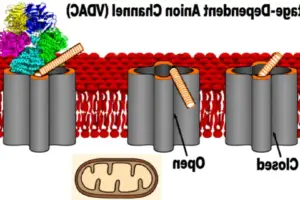 The FCC's New Drone Ban Is A Mess For Small Businesses - Professional coverage